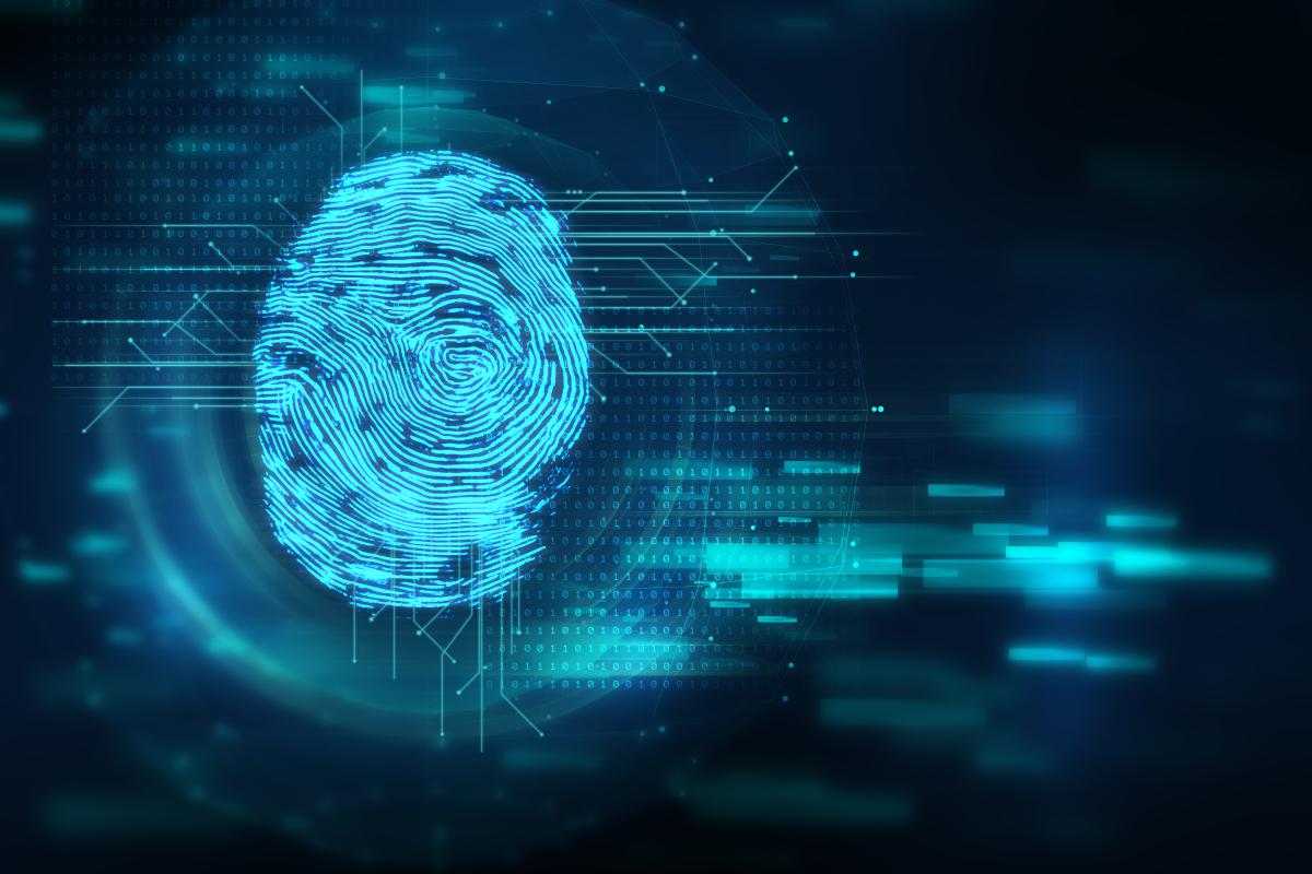 Knowledge Graph Platform Project for a State-Owned Insurance Company